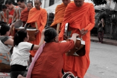 #6 Mönche am Morgen in Luang Prabang - Laos