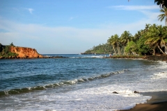 Mirissa Beach