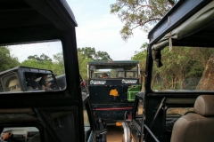 Yala National Park