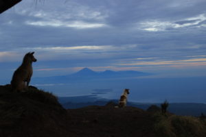 rinjani2